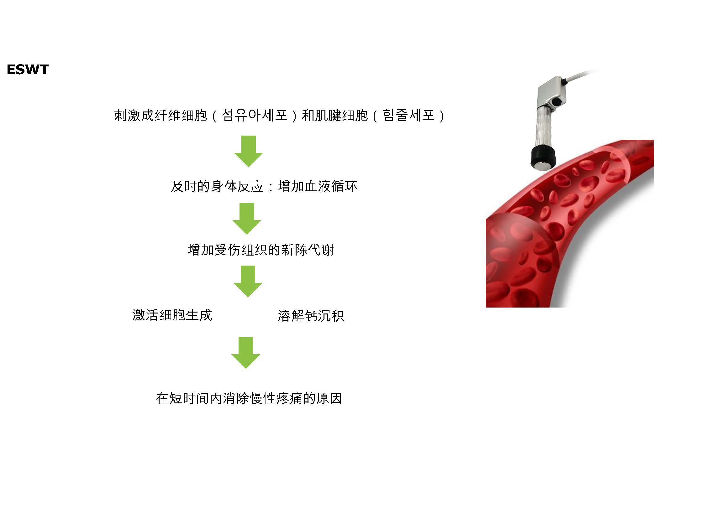 385f1758700315.jpg