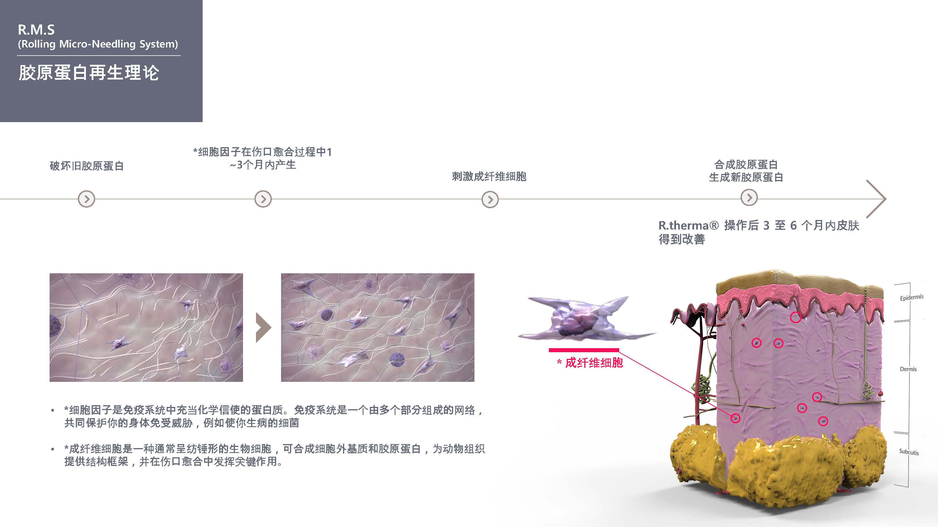 c62c1758774164.jpg